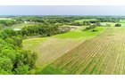 Van Buren County, Michigan farmland - LAND AUCTION - 194+/- ACRES OFFERED IN 5 TRACTS IN VAN BUREN COUNTY, MICHIGAN